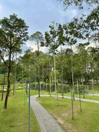 Among the Leaves: An Elevated Escape in the City