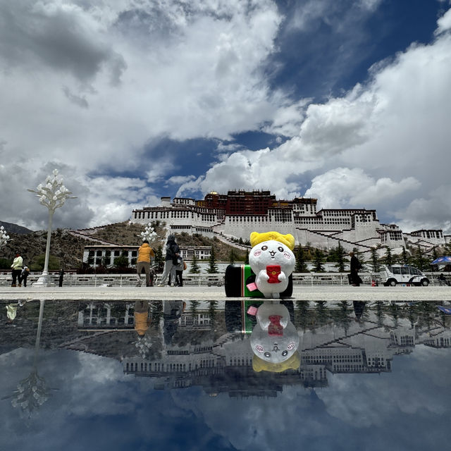 西藏旅遊🧳