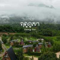 ที่พักวิวดอยหลวงเชียงดาว 🪵🌲