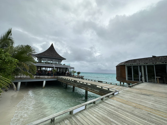  #Maldives➖Views That Feel Like a Dream 🌊