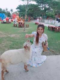 Family Park Pattaya ฟาร์มแกะ พัทยา
