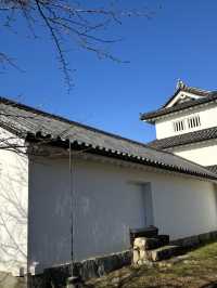 日本現存12天守-彥根城