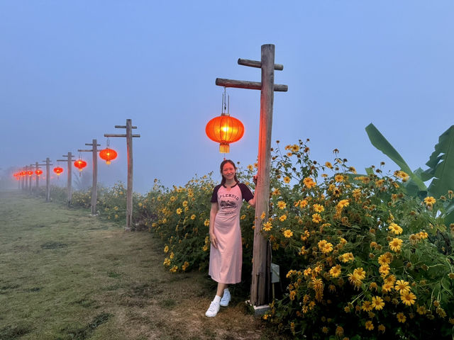 Yun Lai Viewpoint➖Misty Mountains and Tea Mornings 🌫️