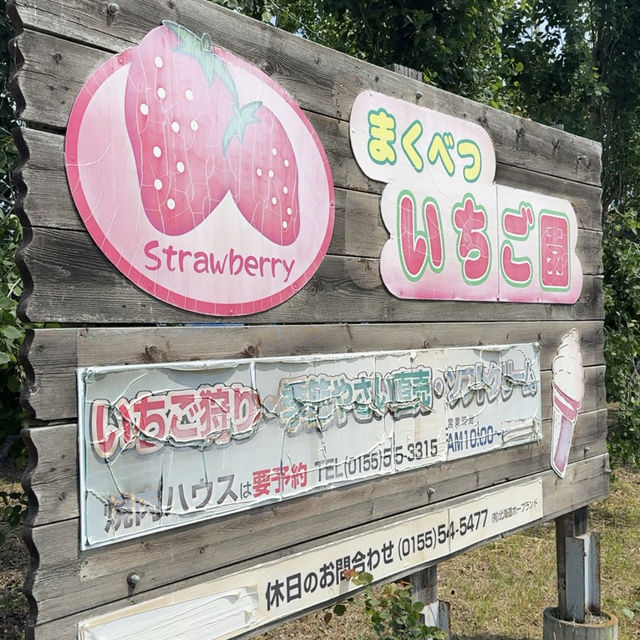 十勝✨️珍しい十勝の いちご狩り