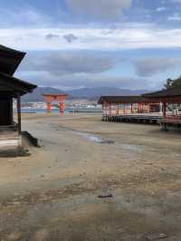 日本三景-宮島-嚴島神社（海上大鳥居）