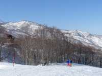 ❄️ Snowy Peaks & Scenic Treats: A Family Day Out at Hakuba Mountain Harbor