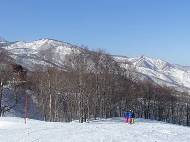 ❄️ Snowy Peaks & Scenic Treats: A Family Day Out at Hakuba Mountain Harbor