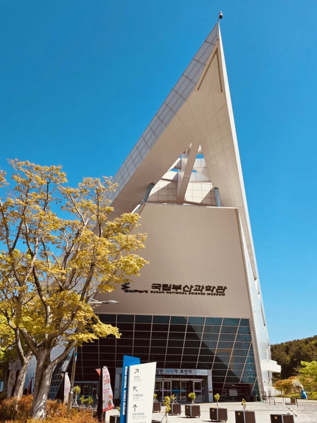 Busan National Science Museum: An Engaging Hub for Curiosity and Discovery