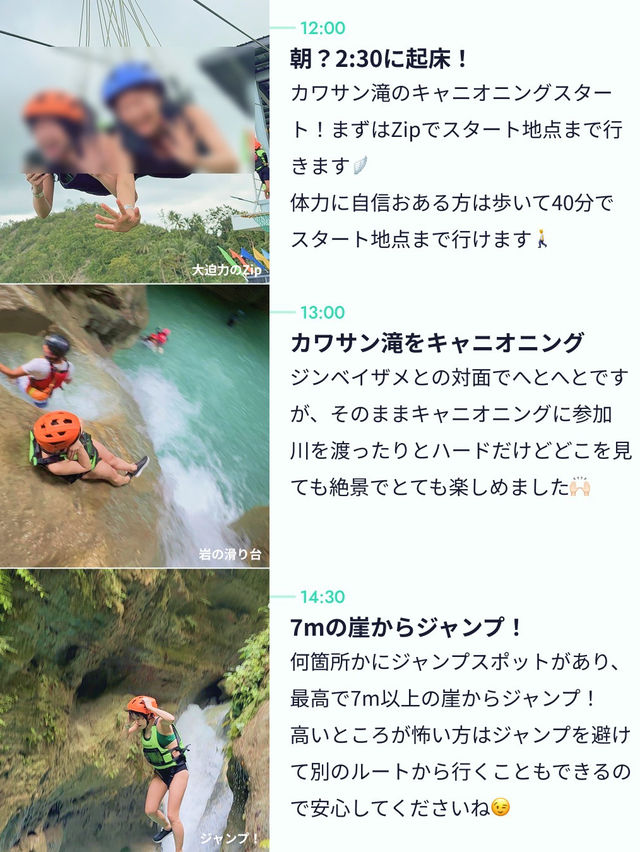 【こんなに近くに？👀】セブ島の大迫力ツアー🦈✨