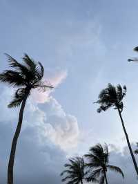 🌴斯里蘭卡最美打卡山丘｜Mirissa Coconut Tree Hill 日出日落全攻略 