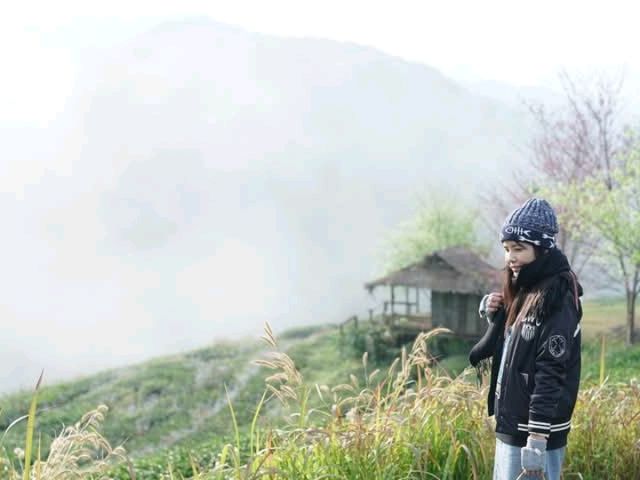 ไร่ชา2000สวยมาก