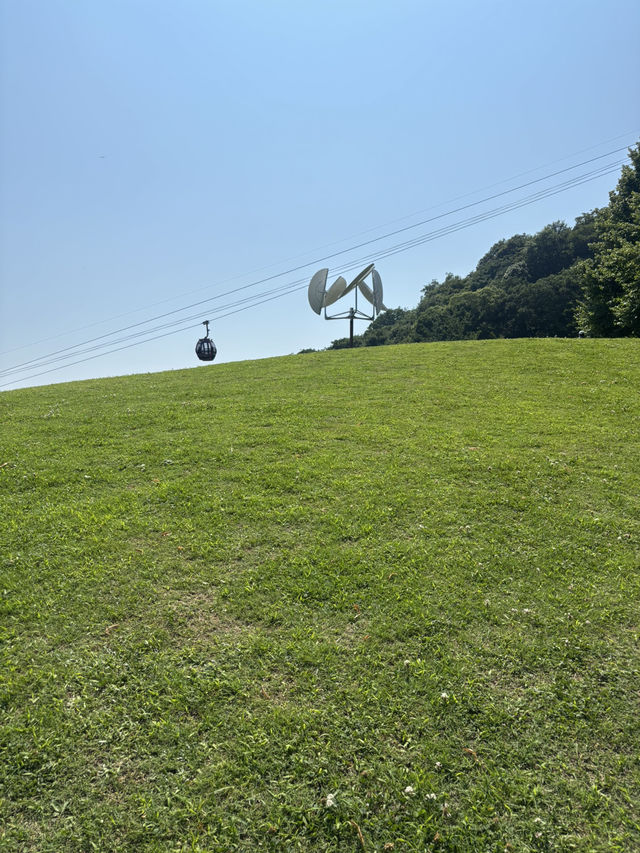 神戶布引草公園：向日葵的夏季花海 🌻🌞