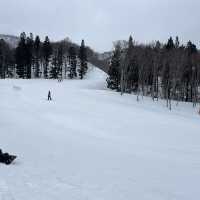 Snowboarding in Japan 🇯🇵