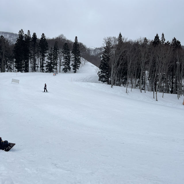 Snowboarding in Japan 🇯🇵