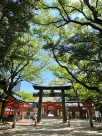 ⛩️ 후쿠오카 도심 속 고요한 신사 – 스미요시 신사