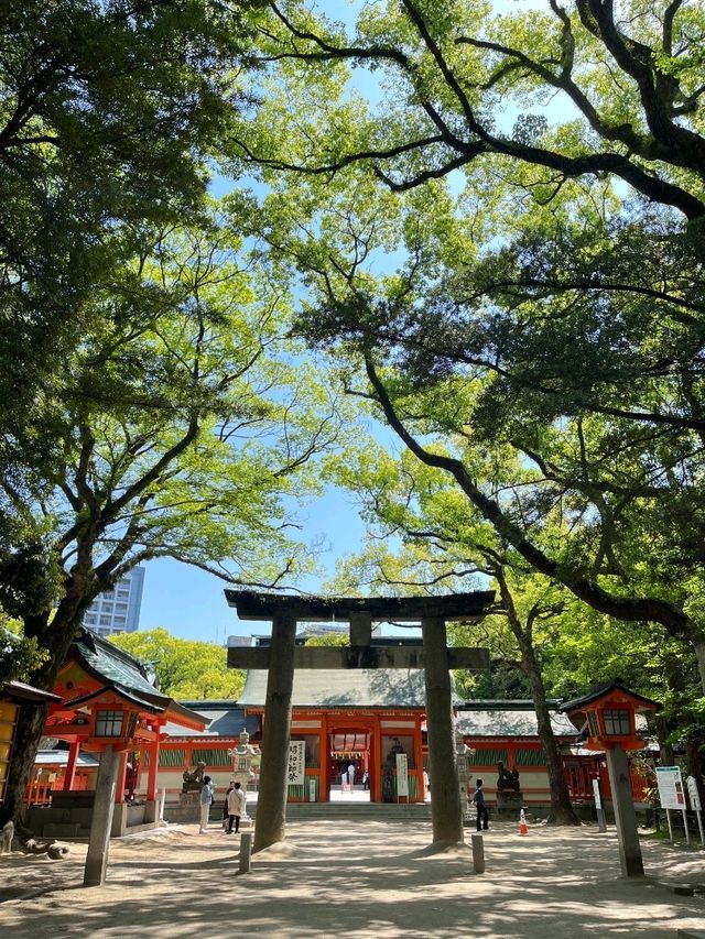 ⛩️ 후쿠오카 도심 속 고요한 신사 – 스미요시 신사