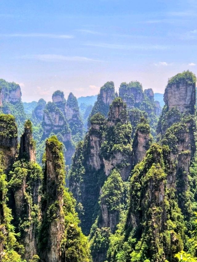 Feeling Like I Stepped Into a Movie – Zhangjiajie Avatar Hallelujah Mountain