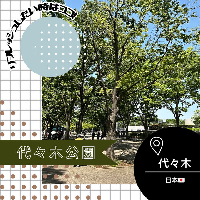 【東京/代々木🇯🇵】都会でリラックスするなら😌代々木公園