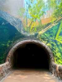 River Wonders: A Fun Wildlife Adventure in Singapore