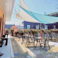 Homey And Mellow Cafe