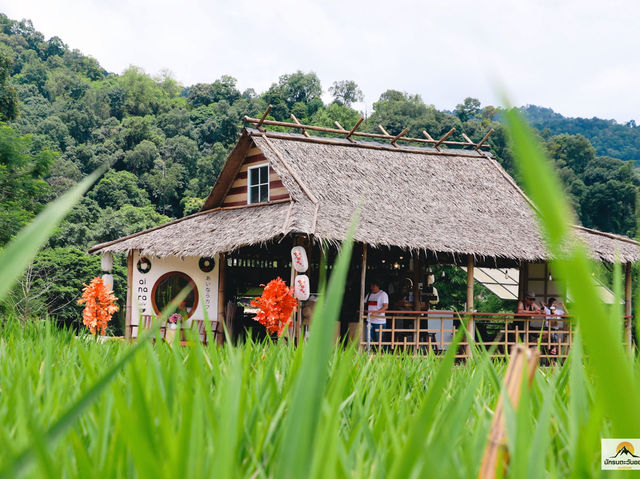 Ai Nara Cafe