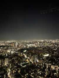 🌆 Tokyo in 3 Iconic Stops: Skyline, Loyalty & Organized Chaos 🐶✨