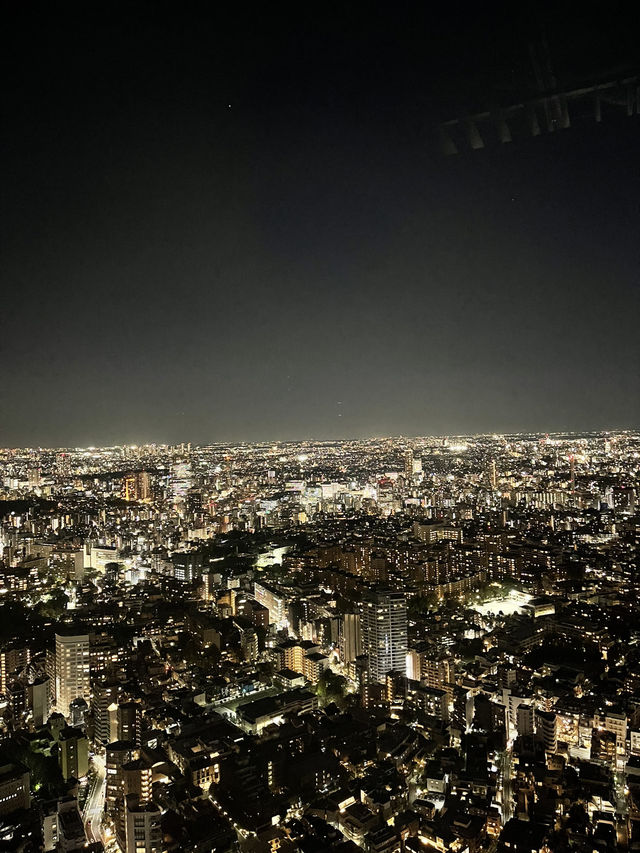 🌆 Tokyo in 3 Iconic Stops: Skyline, Loyalty & Organized Chaos 🐶✨