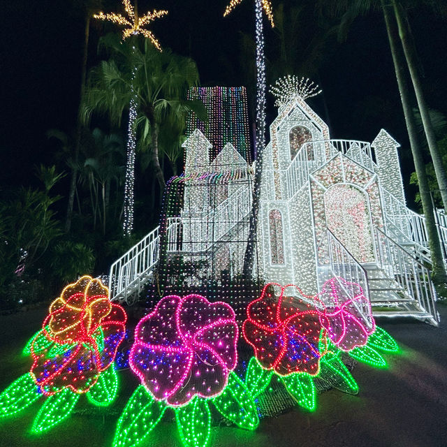 【️沖縄】 美らヤシパークオキナワ 東南植物楽園🌴