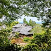 京都 | 青蓮院門跡，東山區優美的賞楓秘境