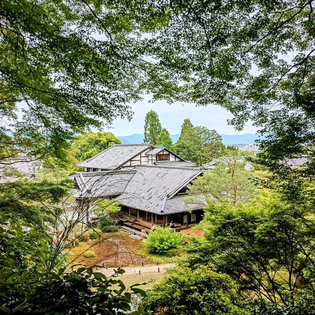 京都 | 青蓮院門跡，東山區優美的賞楓秘境