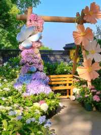 💐 โรแมนติกเฉพาะฤดูร้อนต้นปี