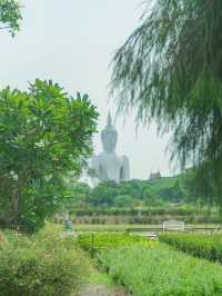 🌿 คาเฟ่วิวหลักล้าน…กลางธรรมชาติสุดร่มรื่น 🍃