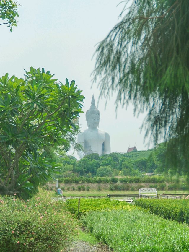 🌿 คาเฟ่วิวหลักล้าน…กลางธรรมชาติสุดร่มรื่น 🍃