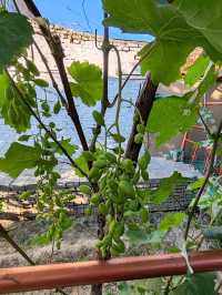 Kazanqi Home Visit: Savoring Artisan Traditions  
