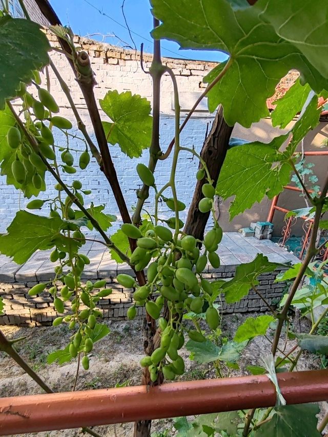 Kazanqi Home Visit: Savoring Artisan Traditions  