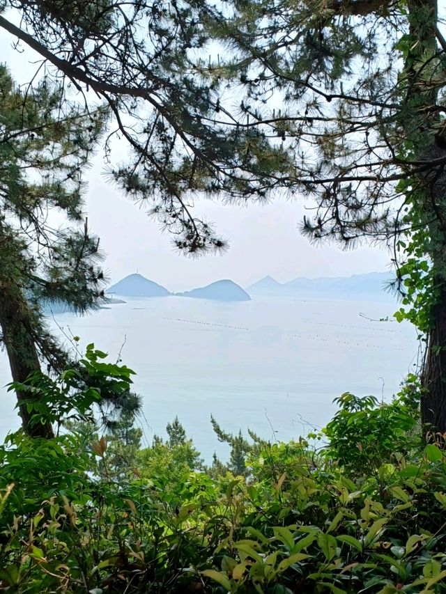 경남지역 오션뷰의 박물관, 미술관 가이드