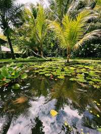 Sacred Heart of Tirta Empul – Jaba Tengah & Jeroan Journey