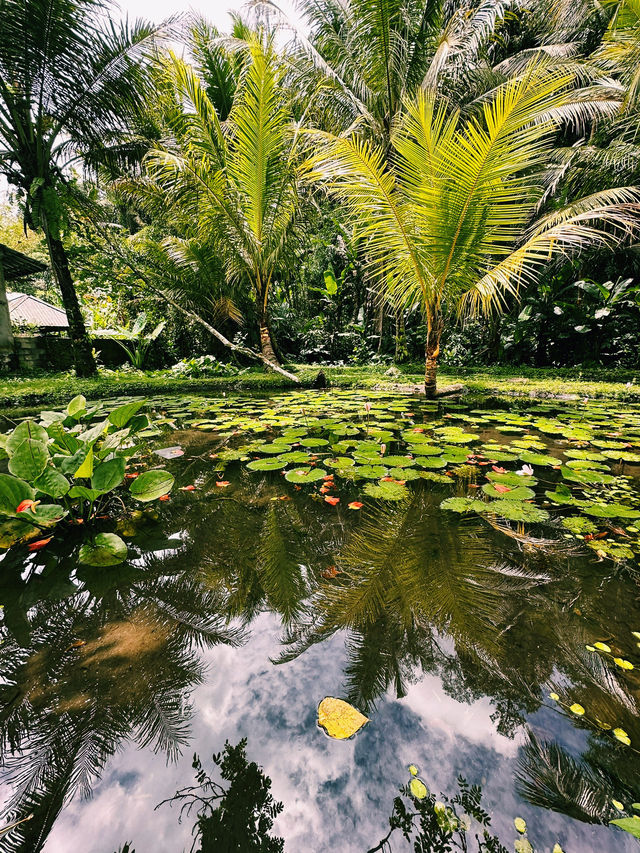 Sacred Heart of Tirta Empul – Jaba Tengah & Jeroan Journey