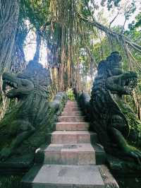 Nature, Myths & Monkeys: A Sacred Walk Through Ubud Monkey Forest