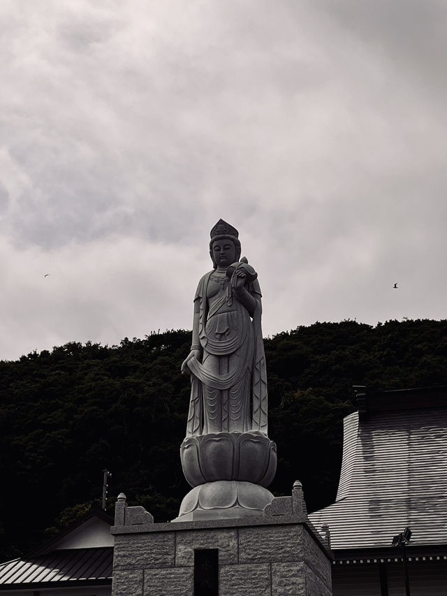 정말 당일치기 하고 가게? 왓카나이에 볼 게 이렇게 많은데