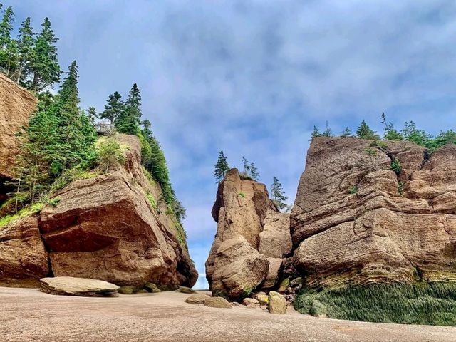 Where the Ocean Carves Magic: Hopewell Rocks