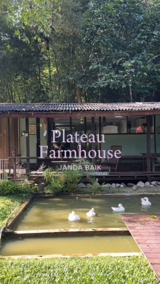 Plateau Farmhouse Malaysia