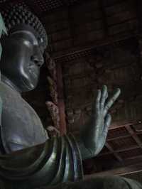 1300年以上の時を超えて、大仏様に出会う