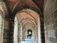 Campus Walk: Exploring the Beauty of the University of Melbourne! 🇦🇺📚