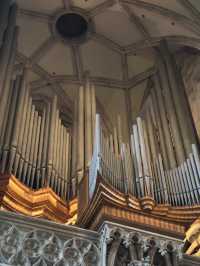 Bone Crypts & Dragon Scales: Gothic Vienna Unbound