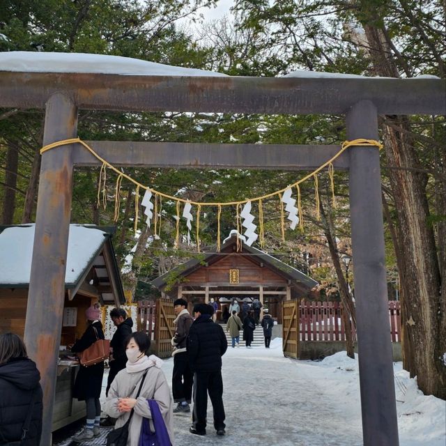 Sapporo in a Day: Culture, Cuisine & City Highlights