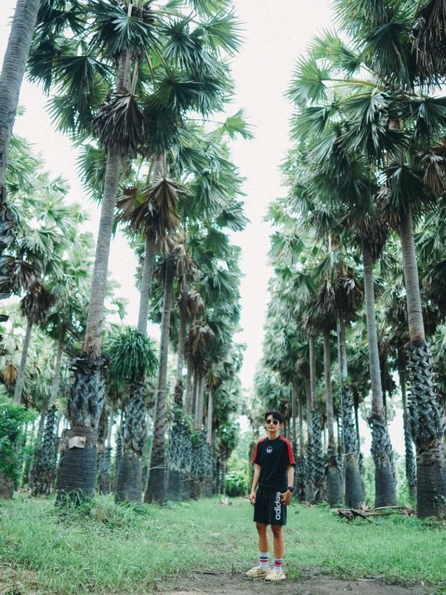 สวนตาลลุงถนอม
