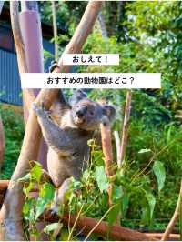 おすすめの動物園教えて🐯🐻🐵🐘