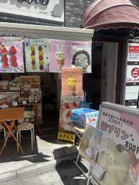 Tokyo 6 Days Travel Guide 