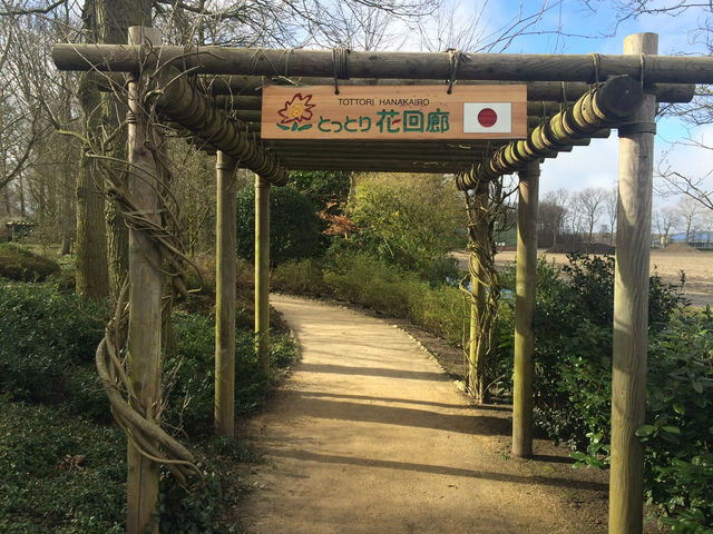 【Keukenhof／キューケンホフ｜“世界最大級のチューリップ庭園”】